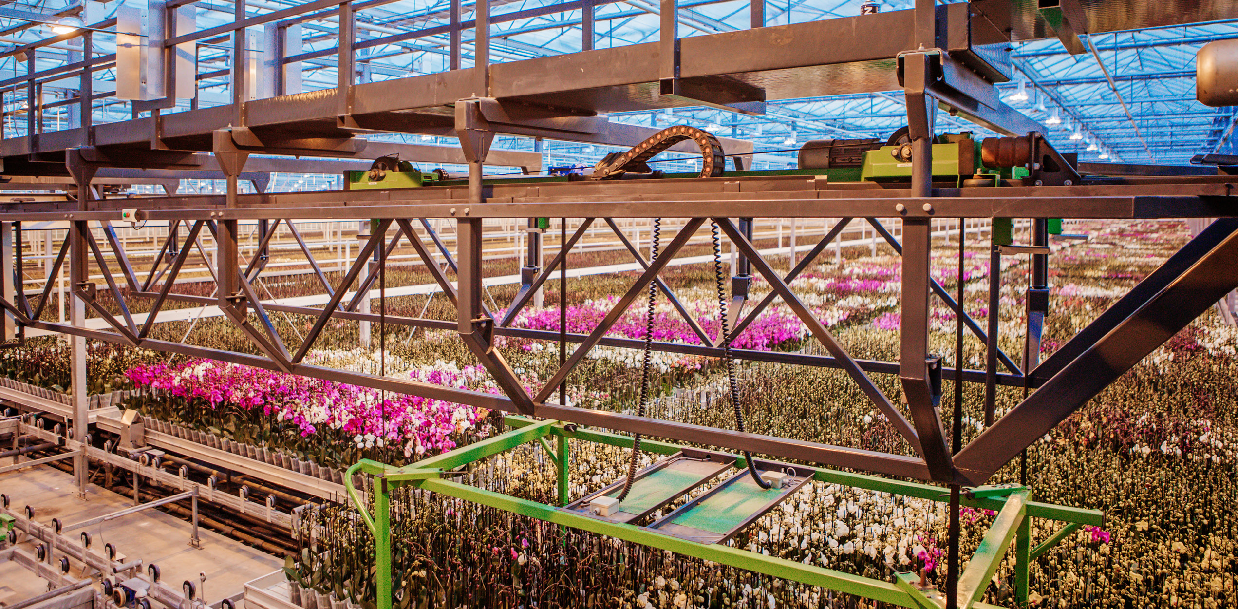 Elektrohängebahn Flora Holland
